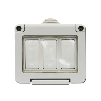 3 Gang 1 Way 10 Amp Switch - WPC