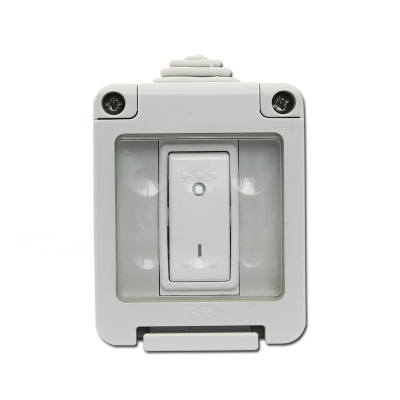 1 Gang 20 Amp DP Switch - WPC